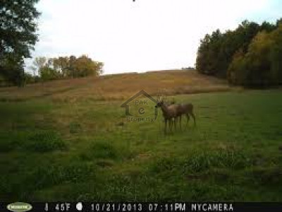 Residential Plot Is Available For Sale