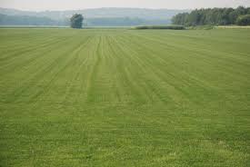 1 Kanal Plot File Available For Sale