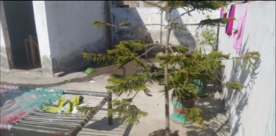 Very Good Location House