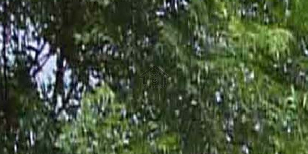 House Is Available For Sale