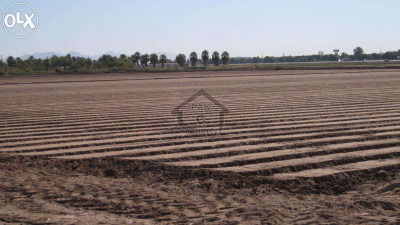200 Sq Yard Full Paid Plot For Sale In Dha City Sector 6d
