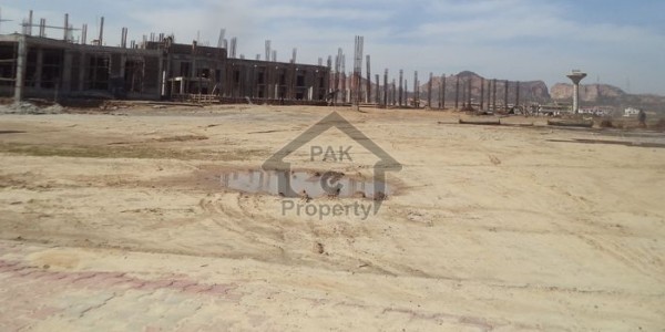 Pair Plot Available For Sale In I-14/3 On Excellent Location