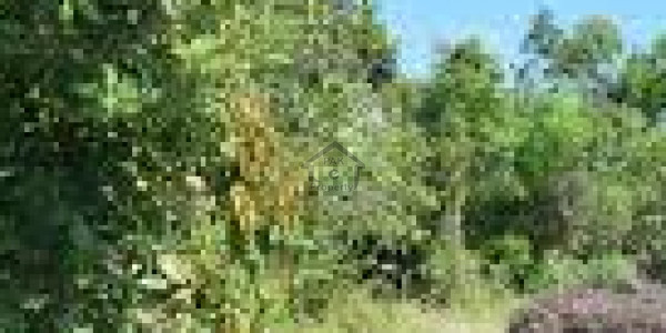 Residential Plot Is Available For Sale