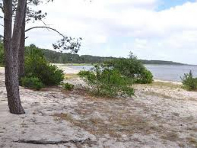 Commercial Plot Is Available For Sale