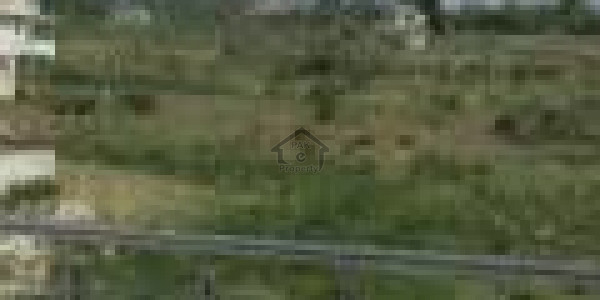 Corner Commercial Plot Is Available For Sale