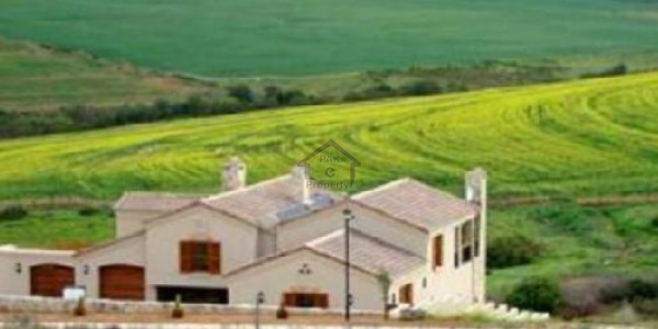 Commercial Plot Is Available For Sale