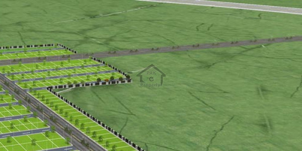 Agricultural Land Is Available For Sale