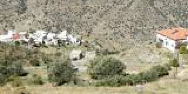 1 Marla Commercial Plot