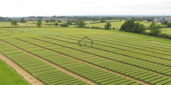 Commercial Plot Is Available For Sale