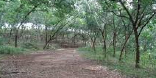 Residential Plot Is Available For Sale