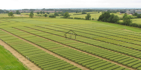 1 Kanal Prime Location Plot Near Main Entrance In DHA Phase 2 - Sector K