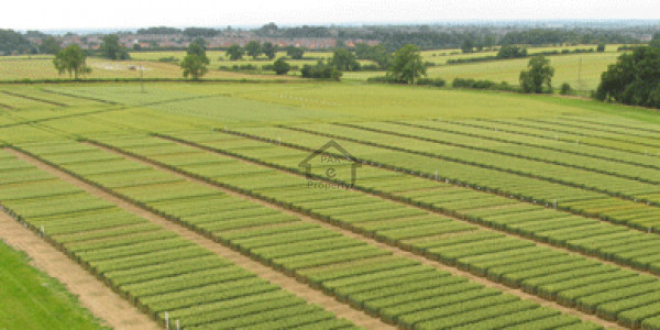 60x90 Corner Height Location Beautiful Plot In G-15/2 Islamabad