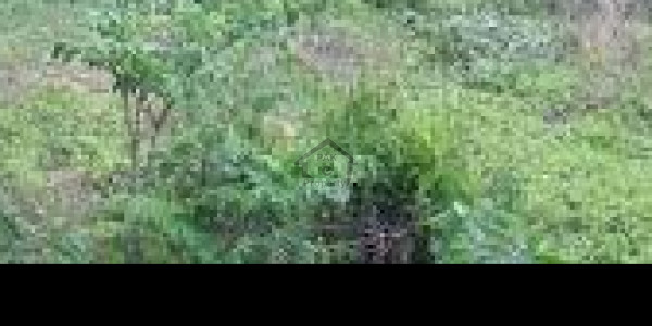 40x80 Corner Plot For Sale In Shalimar Town