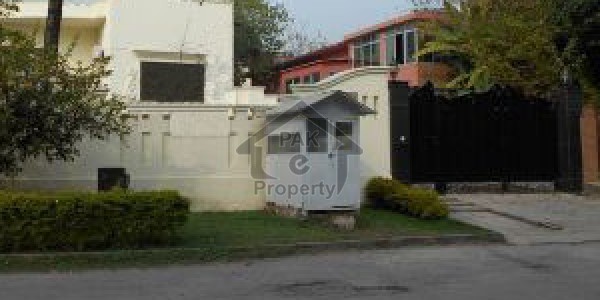 Commercial 1st Floor For Rent