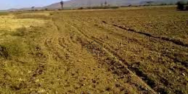 Agricultural Land For Sale