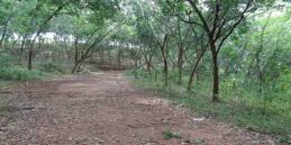 Residential Plot Is Available For Sale
