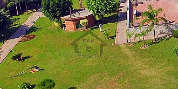 Apartment Going Cheep On Easy Installment