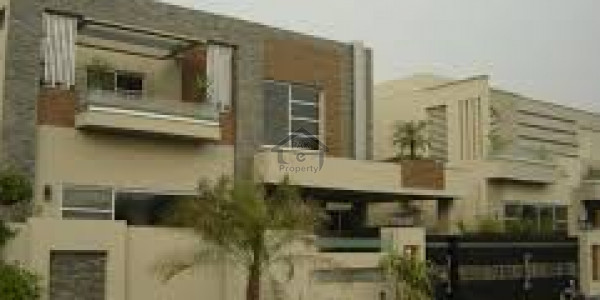 Uper Portion Neat & Clean Place