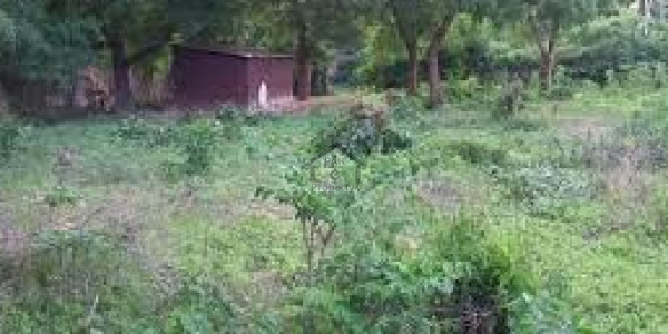 Residential Plot Available For Sale