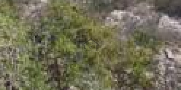 Residential Plot Available For Sale