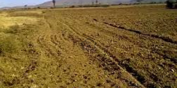 Residential Plot Of 10 Marla Is Available For Sale