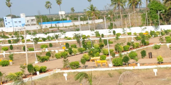 Residential Plot Available For Sale