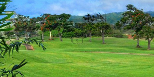 5 Marla House For Sale