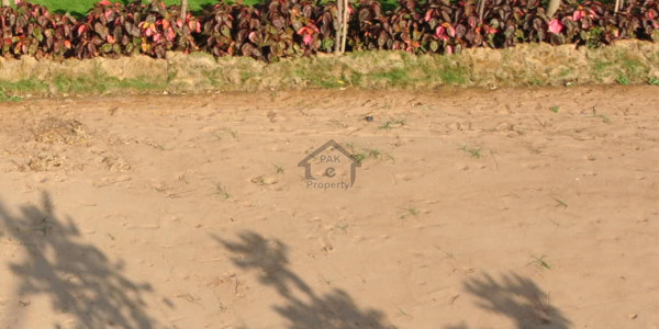 Commercial Plot Is Available For Sale