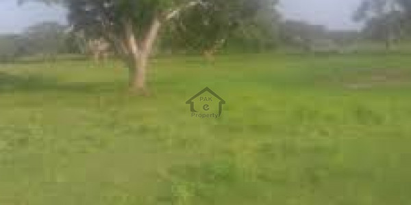 Double Storey House Is Available For Sale