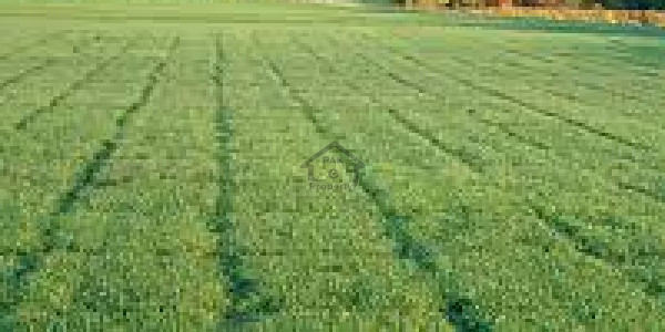 Residential Plot Is Available For Sale