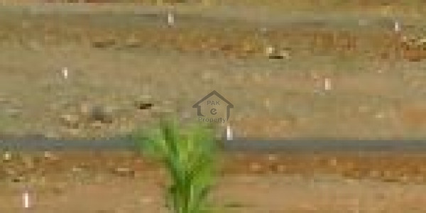 Level 30x60 Investor Rate Plot Markaz Facing For Sale