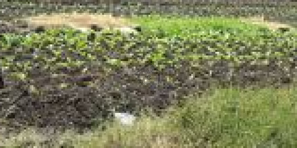 Main Road Corner 30x60 Plot For Sale