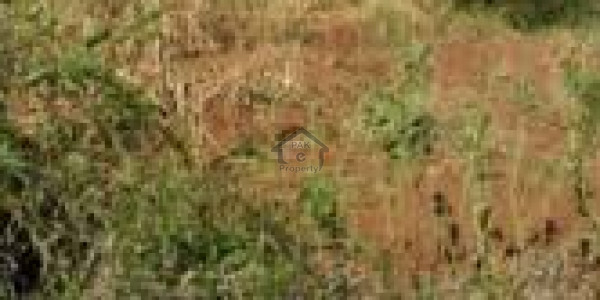 Ideal Location Plot Reasonable Price