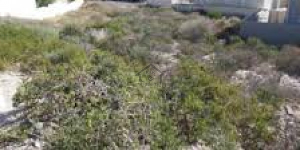 1 Kanal Commercial High Rise Plot