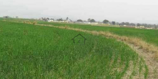 L Block - 5 Marla Plot For Sale