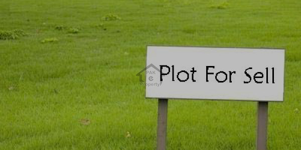 380 Sq Ft 1st Floor Ready To Move Office In Front Of Zoo For Sale