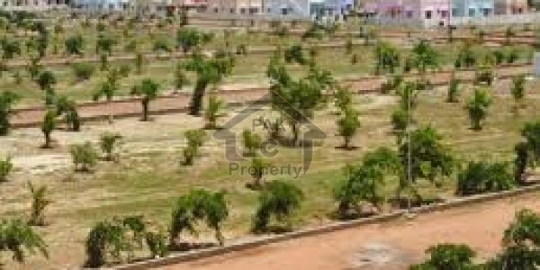 House Available For Sale