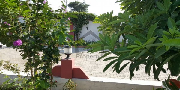 Flat Available For Rent