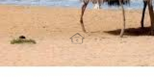 10 Marla Plot No 10 Facing Main Road Near Jamia Mosque Petrol Pump Urgent Sale