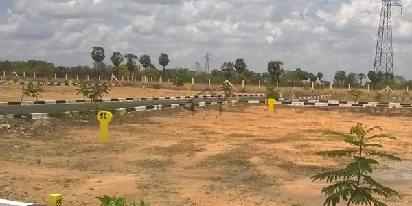 1 Kanal Corner Plot No 100 Facing 160 Feet Road Near Masjid Park School