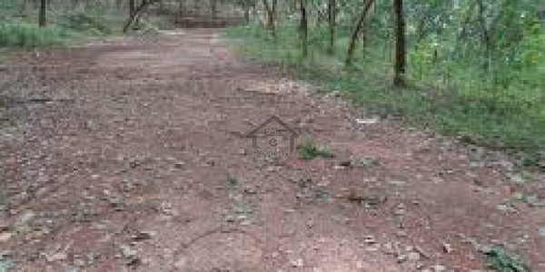 Commercial Plot Is Available For Sale