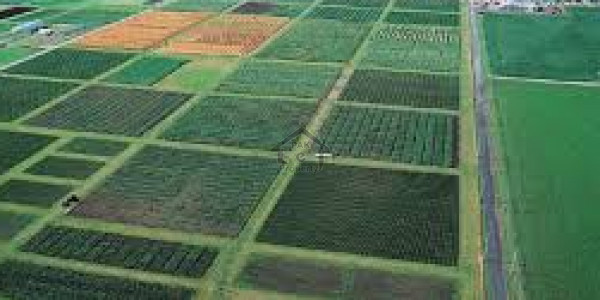 Raiwind Road 114 Kanal Plot In Front Of Lake City