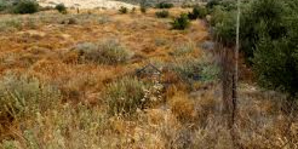 Agricultural Land Is Available For Sale