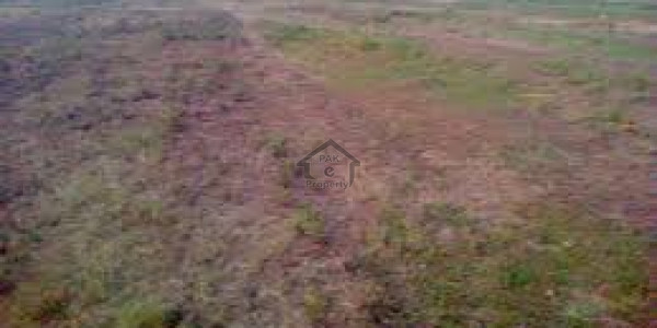 Agricultural Land Is Available For Sale