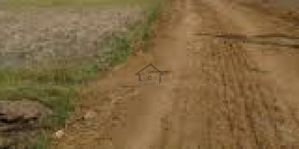 Agricultural Land Is Available For Sale