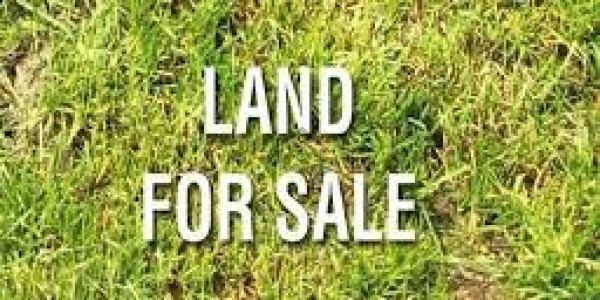 AWT - 50x90 1 Kanal Plot Pool Free Line