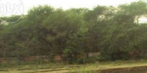 8 Kanal Farm House Land For Sale
