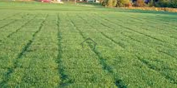 Plot Is Available For Sale