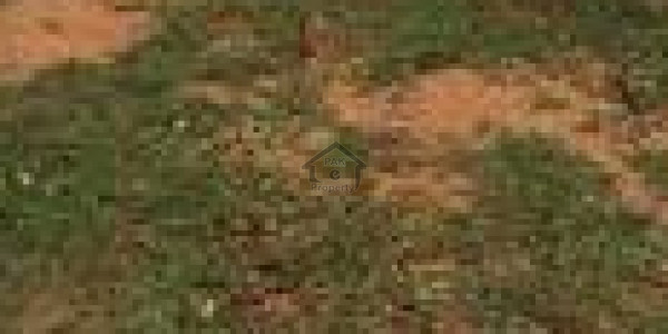 Level Plot Is Available For Sale