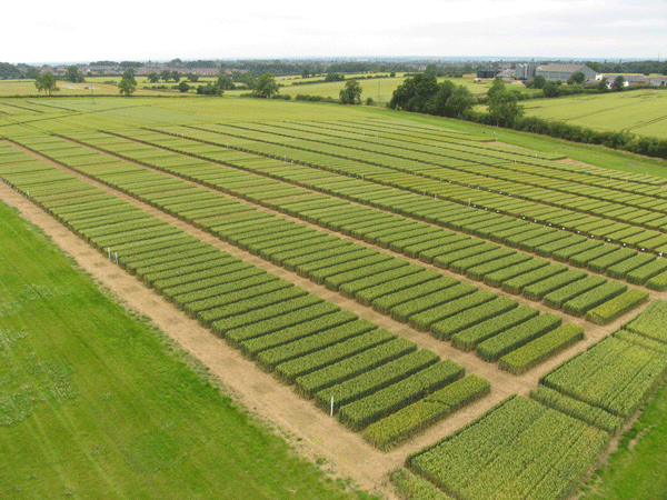 B-17 Block B - 35x70 10 Marla Plot For Sale